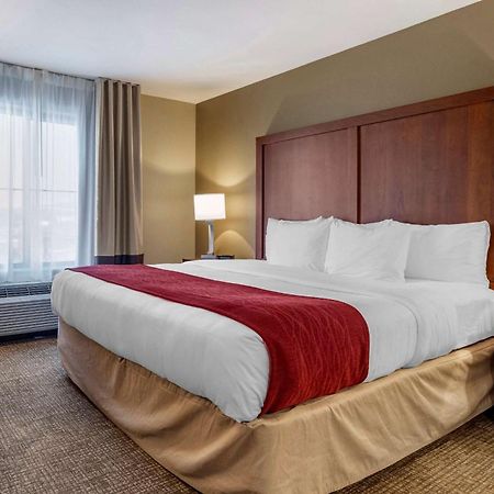 Comfort Inn & Suites Russellville I-40 Экстерьер фото