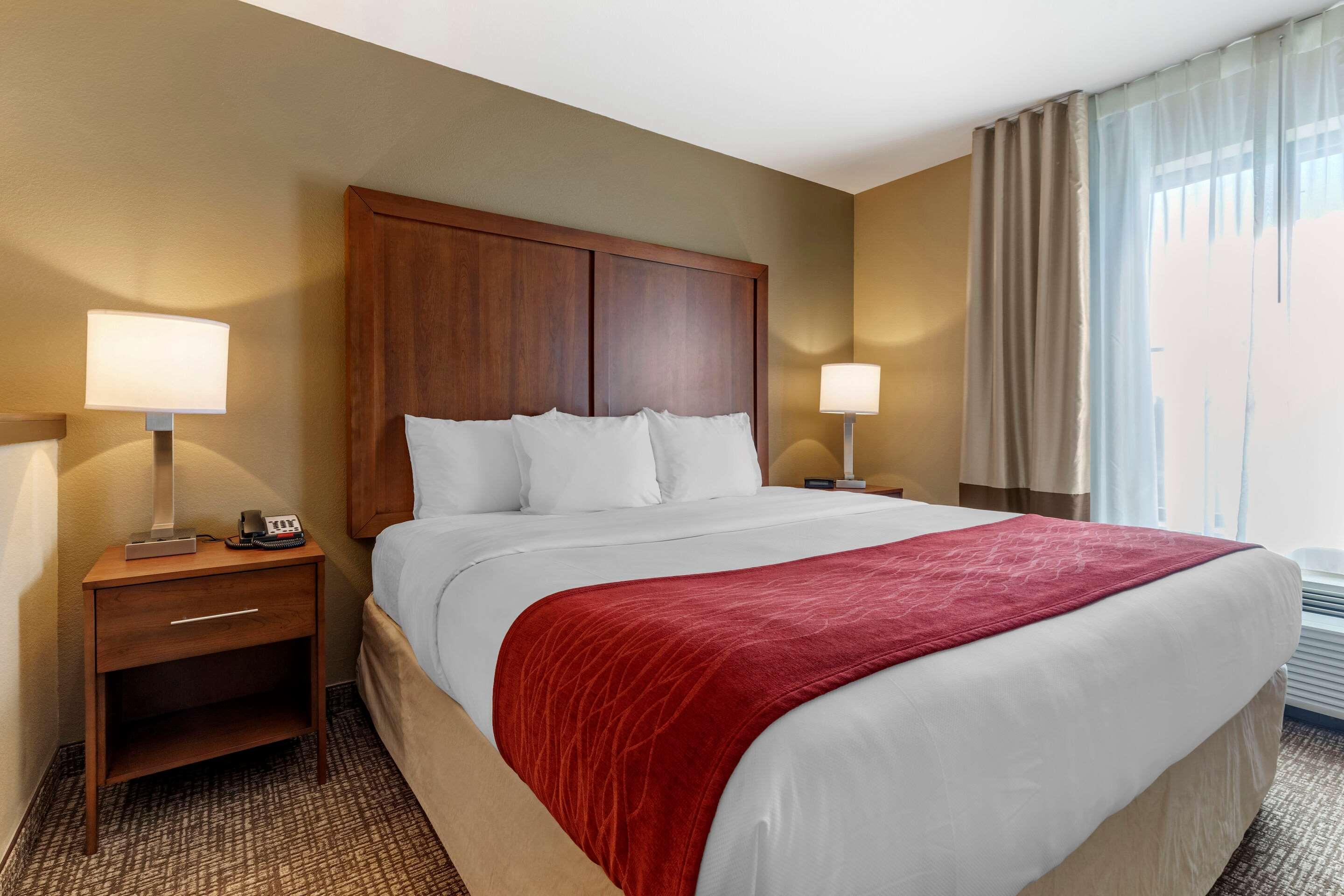 Comfort Inn & Suites Russellville I-40 Экстерьер фото