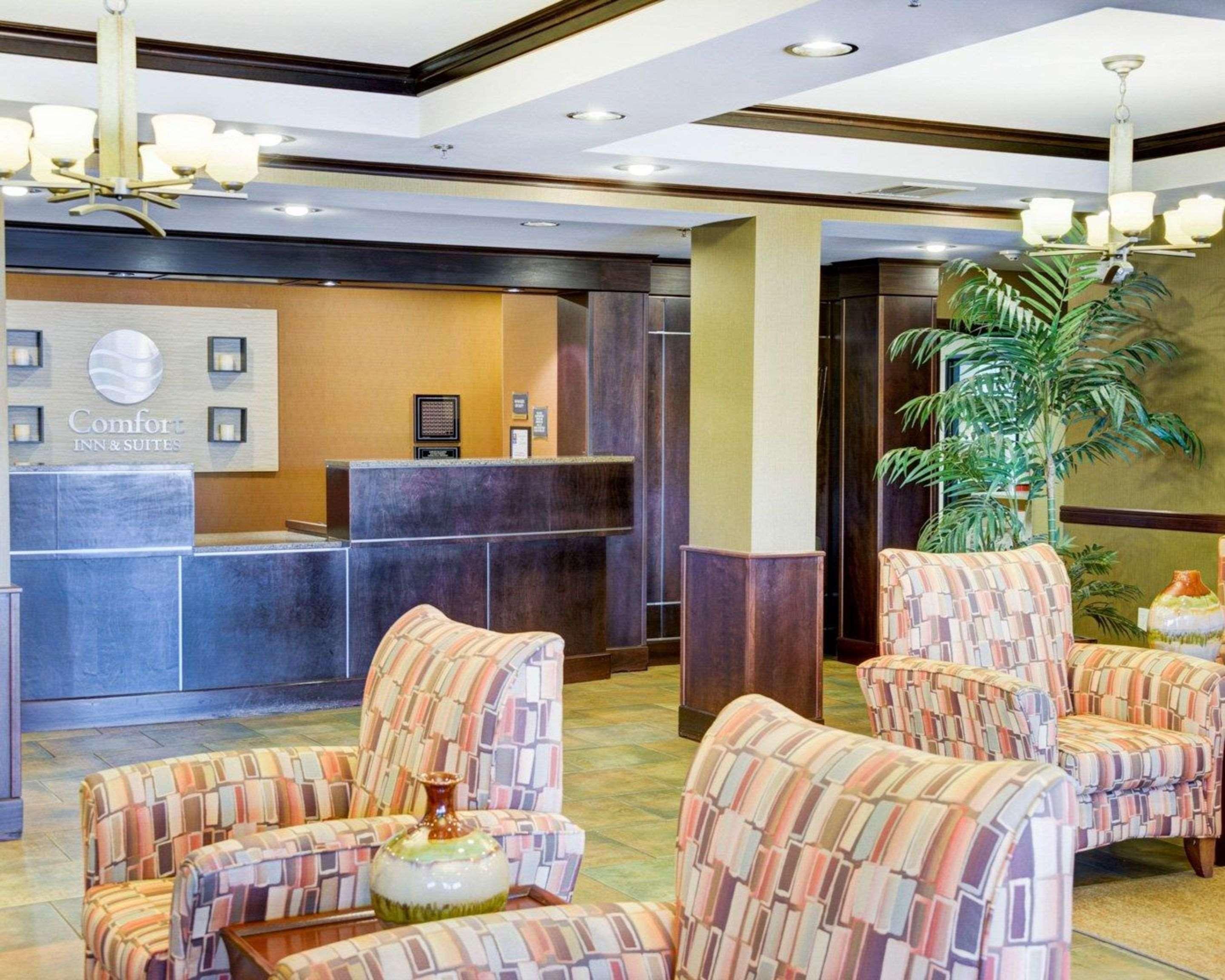 Comfort Inn & Suites Russellville I-40 Экстерьер фото