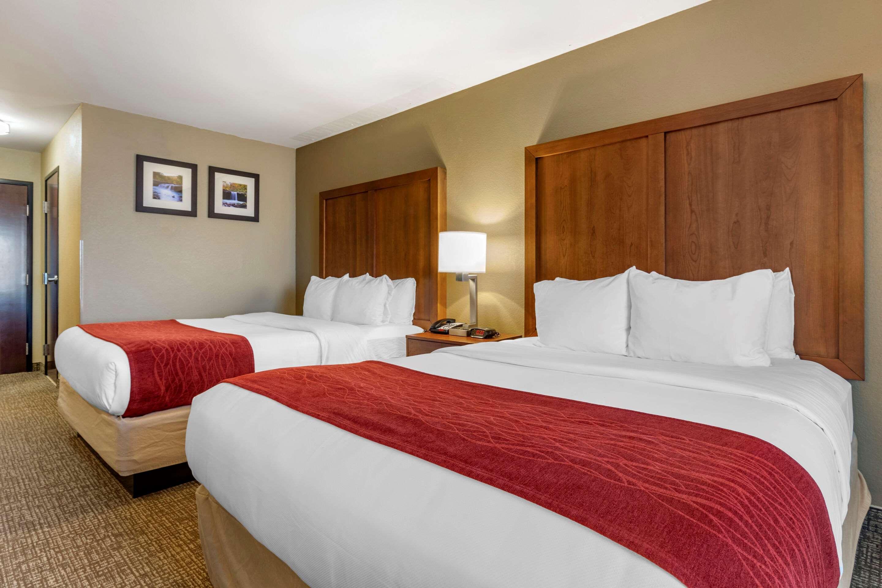Comfort Inn & Suites Russellville I-40 Экстерьер фото
