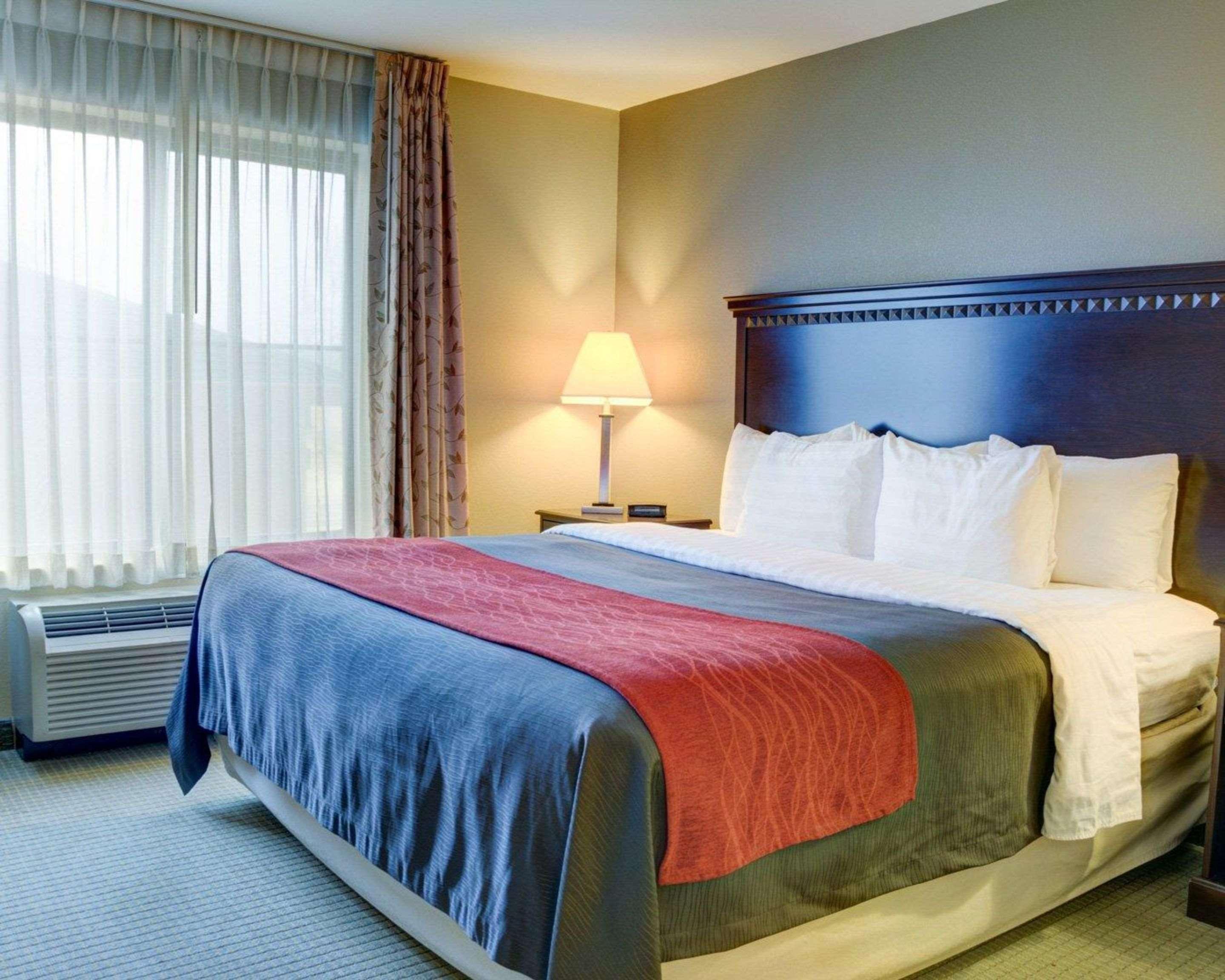 Comfort Inn & Suites Russellville I-40 Экстерьер фото